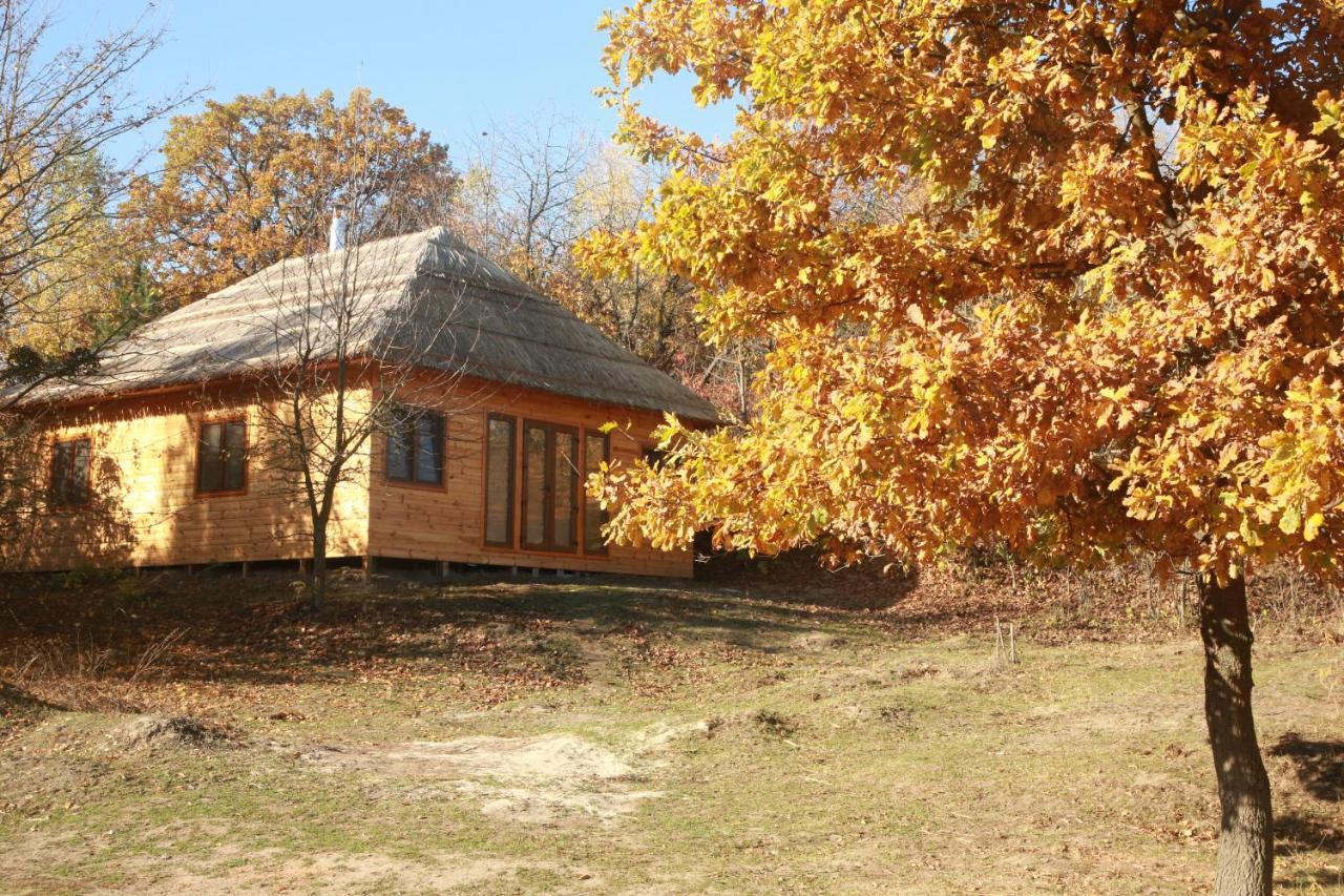 Козацька Фортеця Pliskachevka Εξωτερικό φωτογραφία
